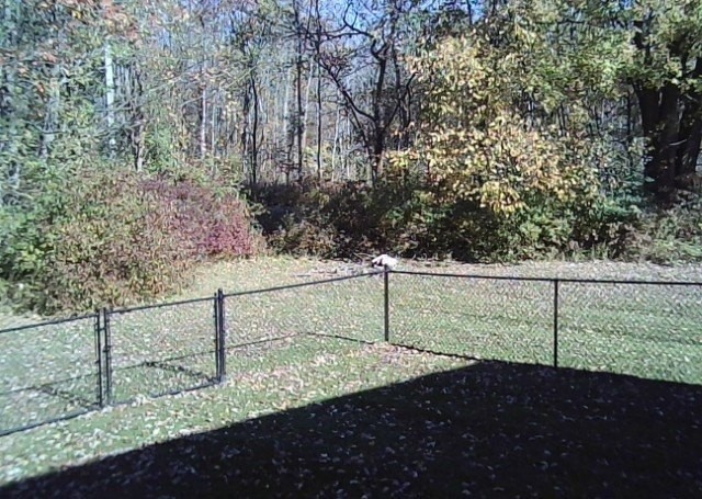 2287 State Route 104 - Photo 3 of 9