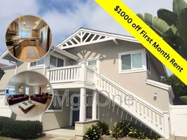 featured image of 61 Tarocco