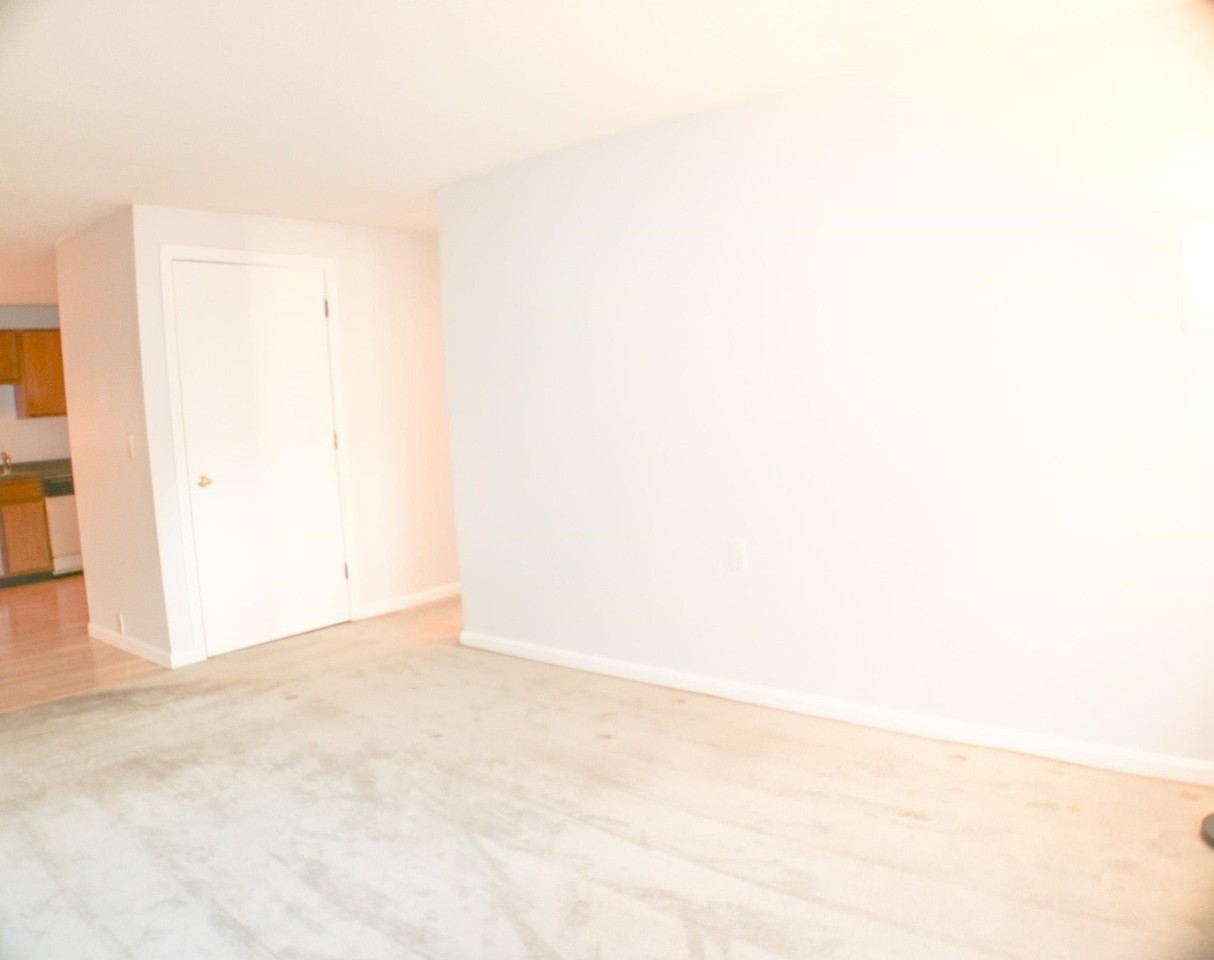 1702 White Cedar Blvd - Photo 6 of 23