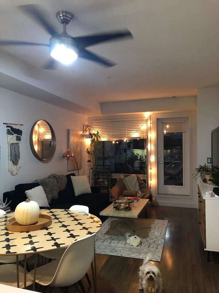 323 Tribeca - Photo 3 of 11