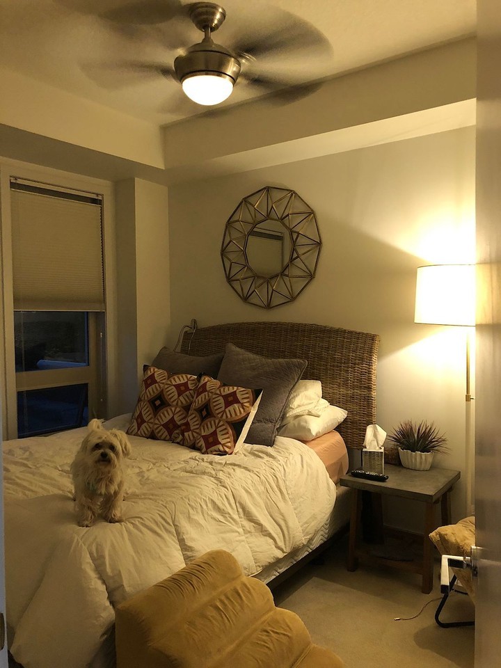 323 Tribeca - Photo 6 of 11