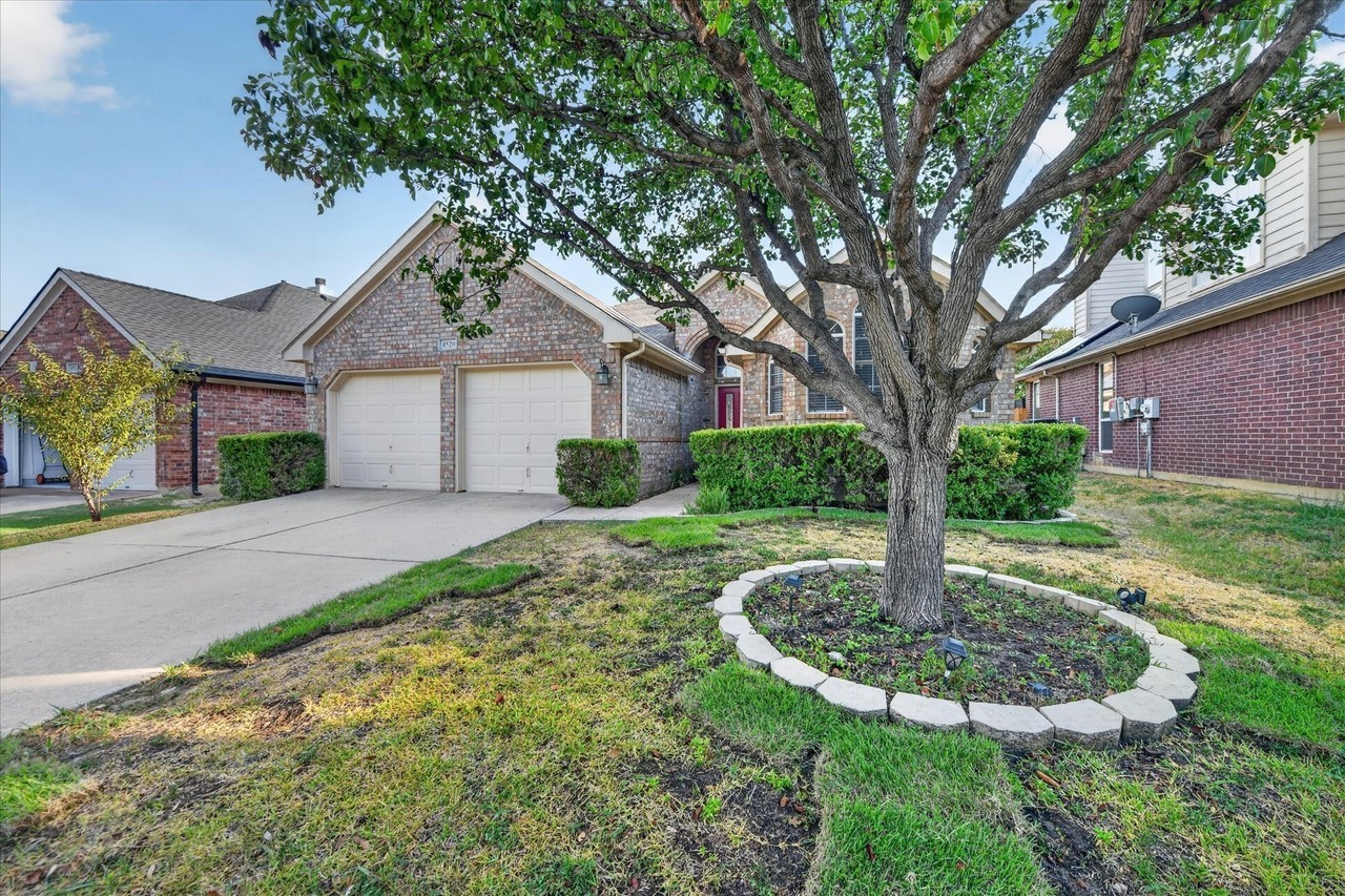 4520 Angelina Way - Photo 4 of 33