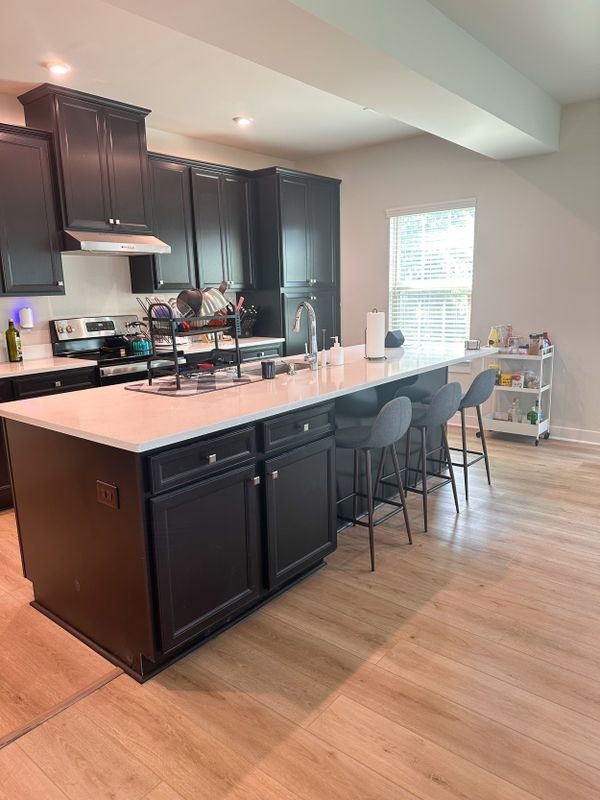 1029 Climbing Rose Way - Photo 6 of 11