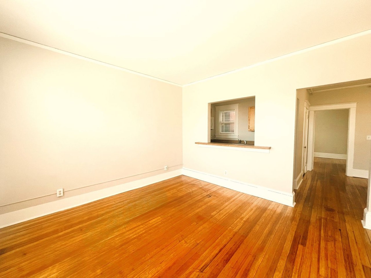 New Amsterdam Apartment - Photo 3 of 5