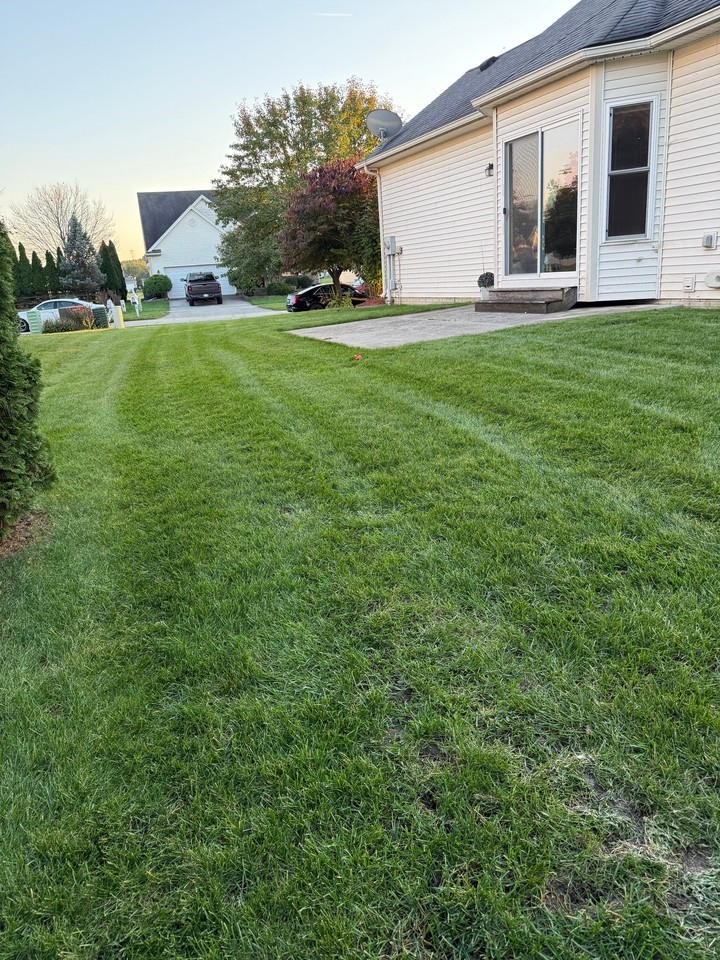 1202 Plum Grove Ln - Photo 3 of 20