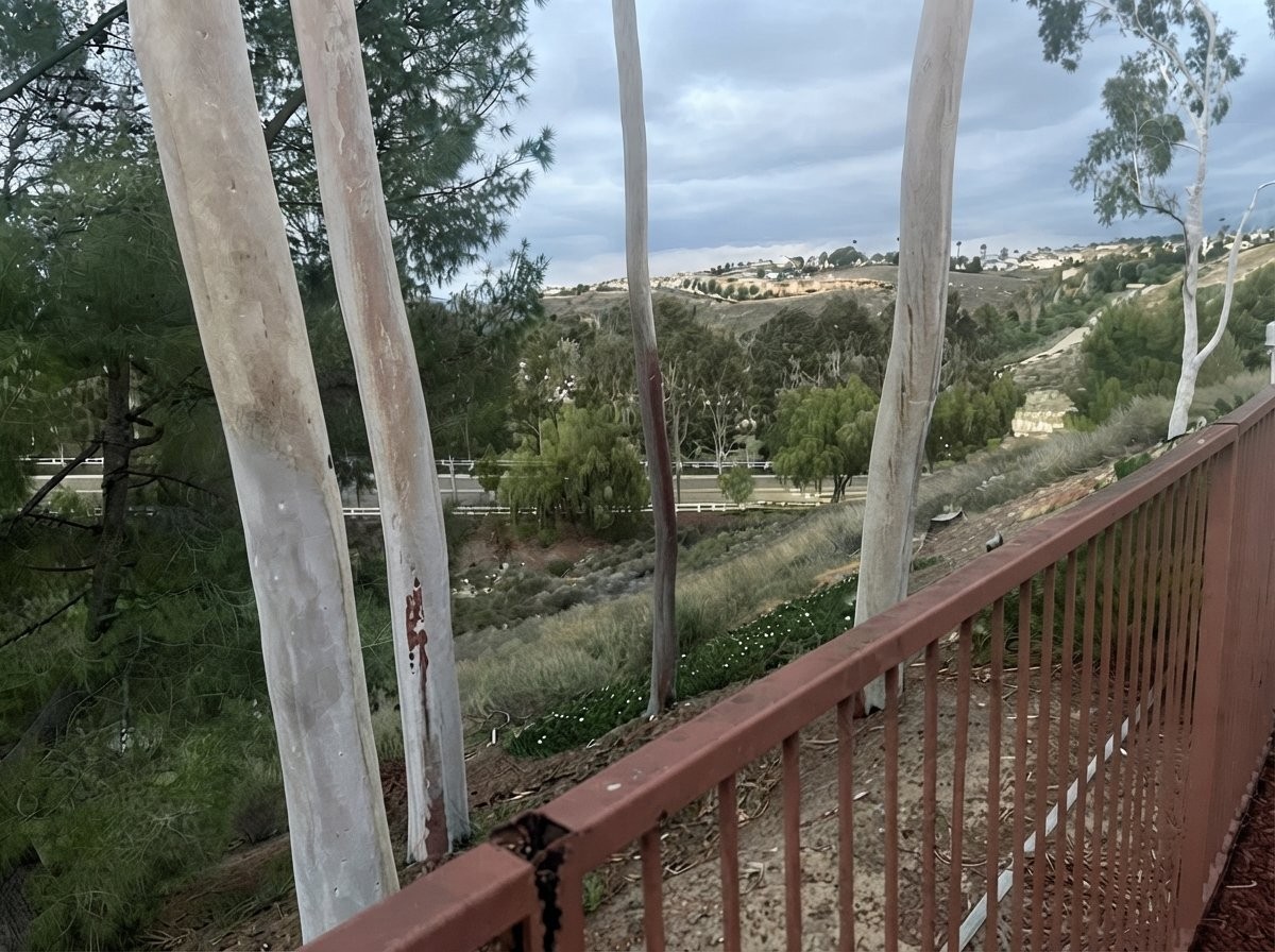 17980 Spring View Ct - Photo 7 of 9