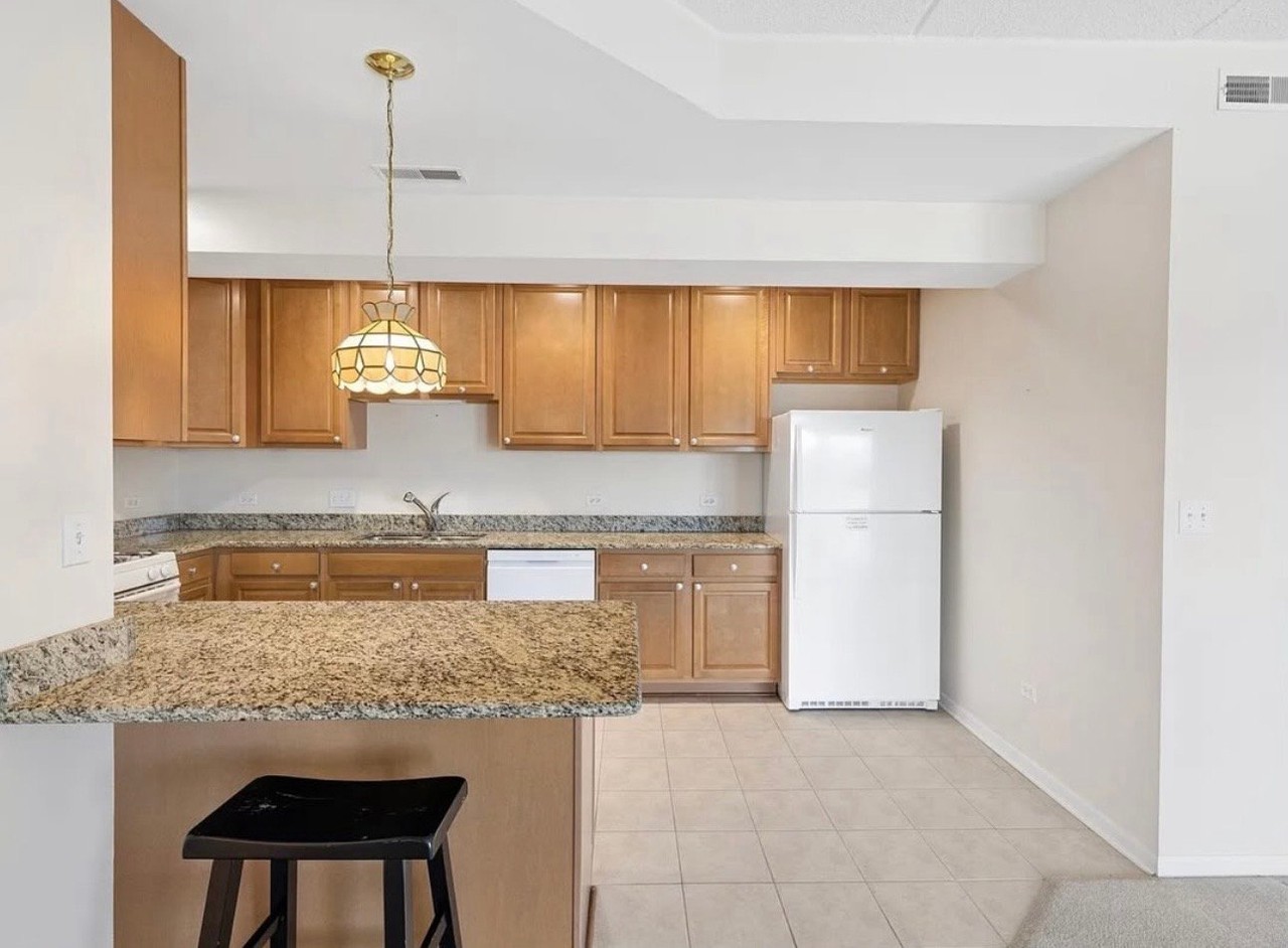 1343 S Austin Blvd #2W - Photo 4 of 10