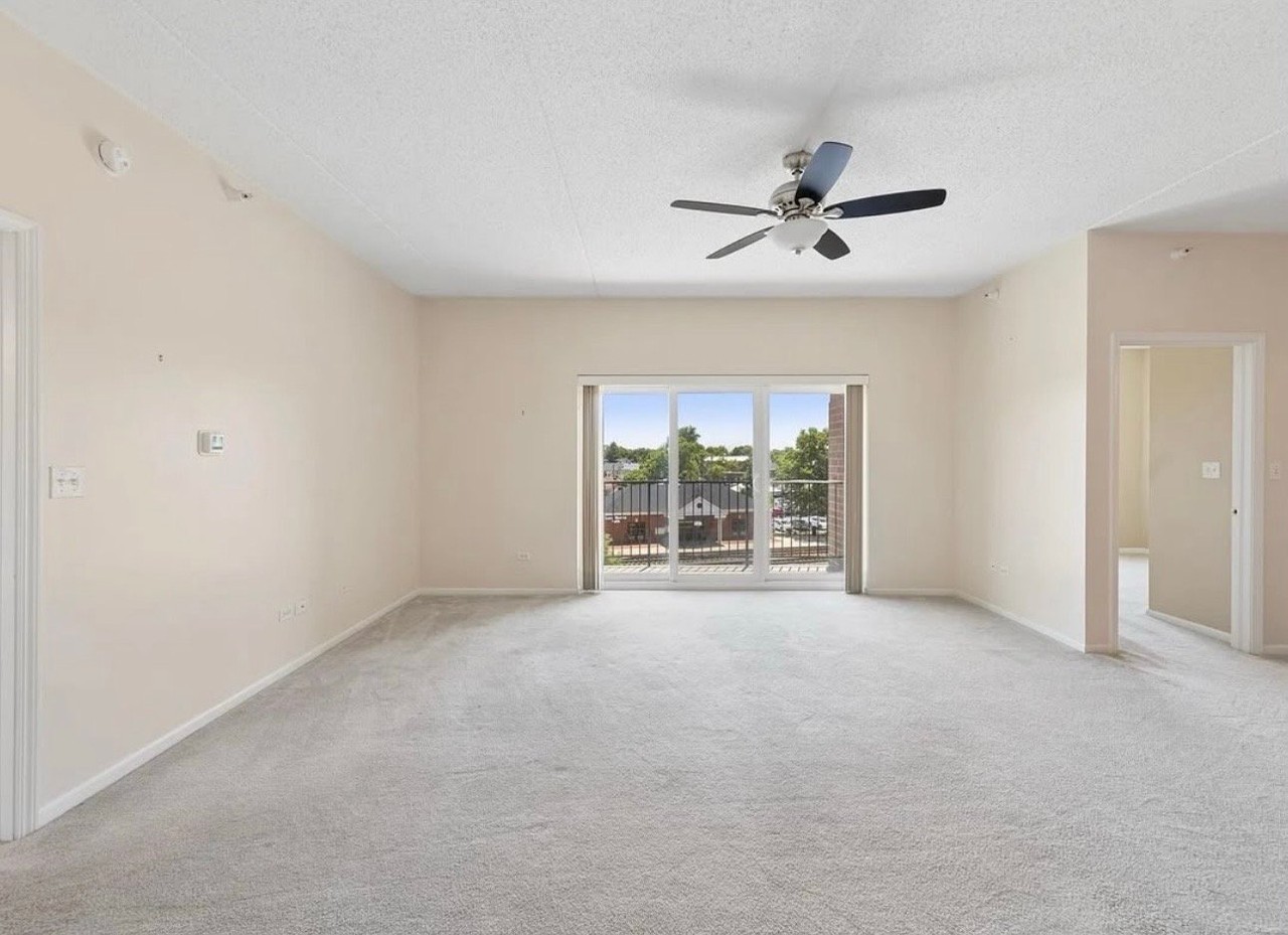 1343 S Austin Blvd #2W - Photo 6 of 10