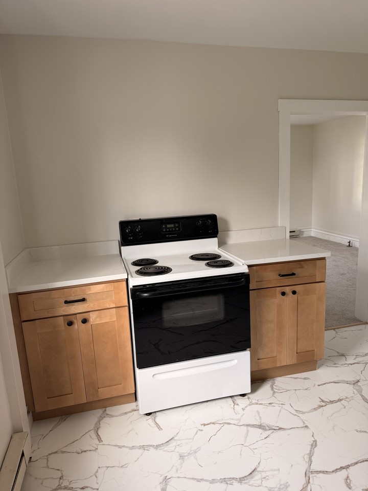 203 Chemung St #2W - Photo 3 of 8