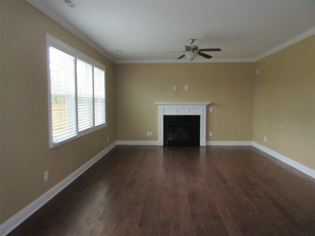 403 Wolfe Ln - Photo 2 of 27