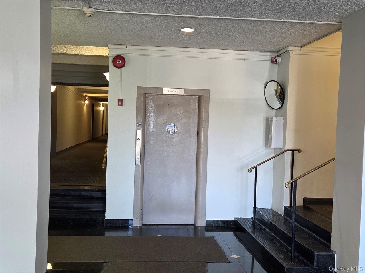 190 Mineola Blvd #1N - Photo 4 of 7