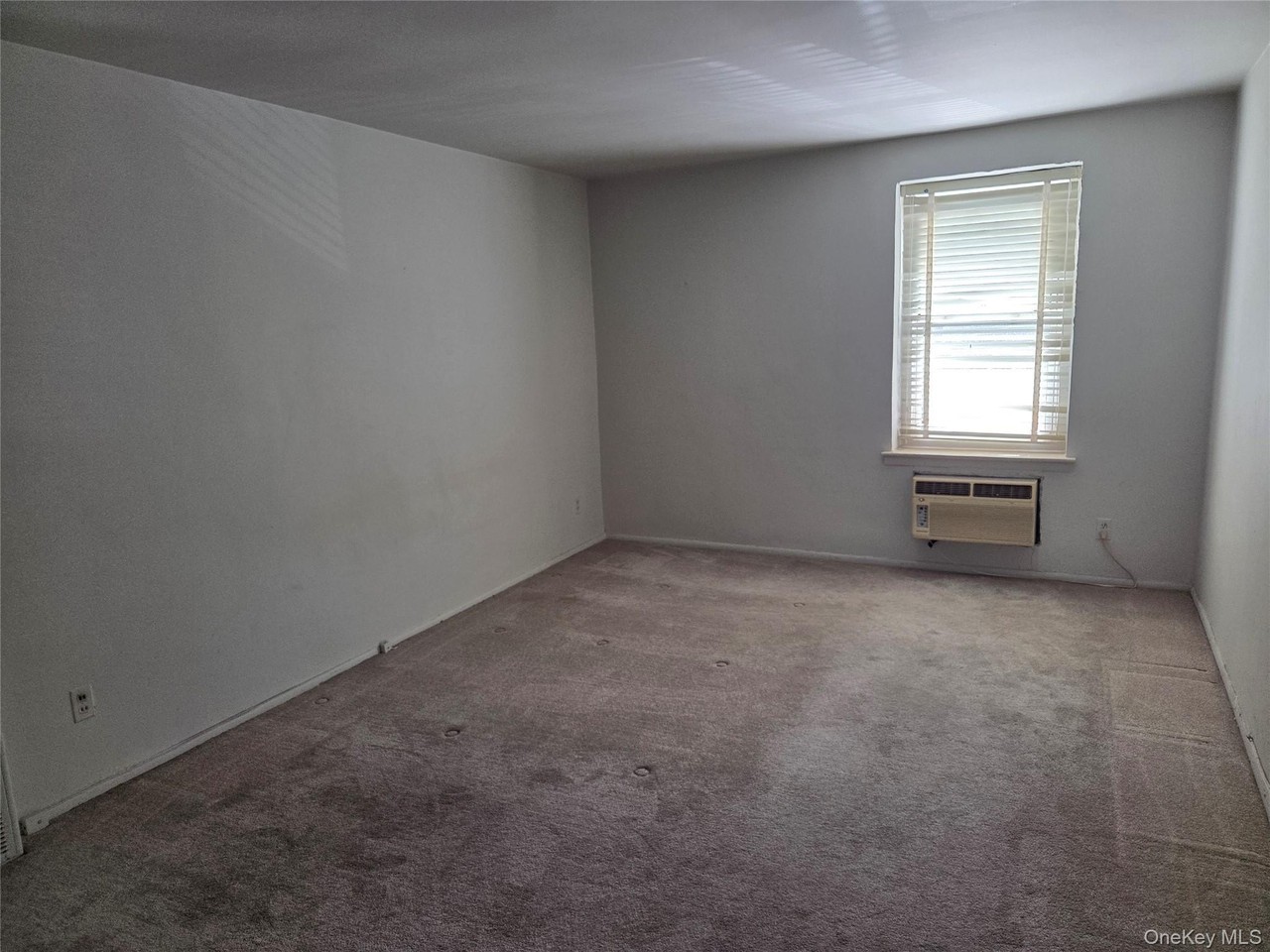 190 Mineola Blvd #1N - Photo 6 of 7