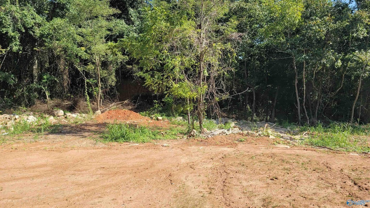 131 Peaches Pl #11 - Photo 3 of 11