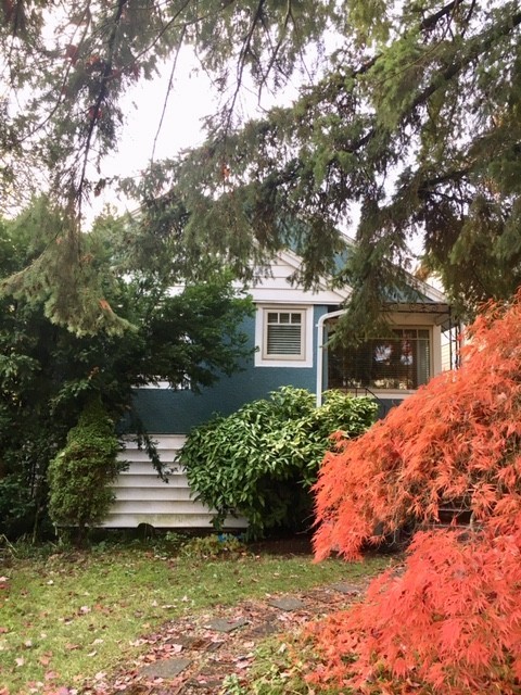 2261 Waterloo Street - Photo 4 of 19