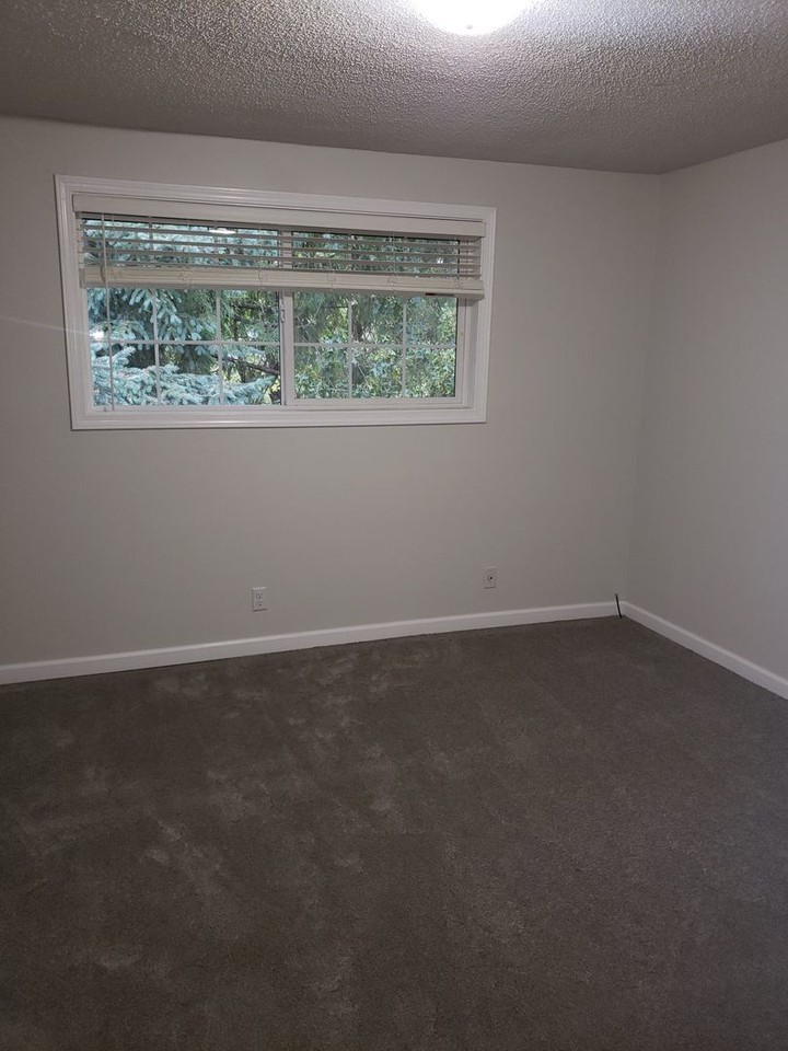 4357 Sean St - Photo 7 of 17
