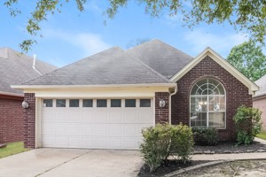 featured image of 8733 Cat Tail Dr