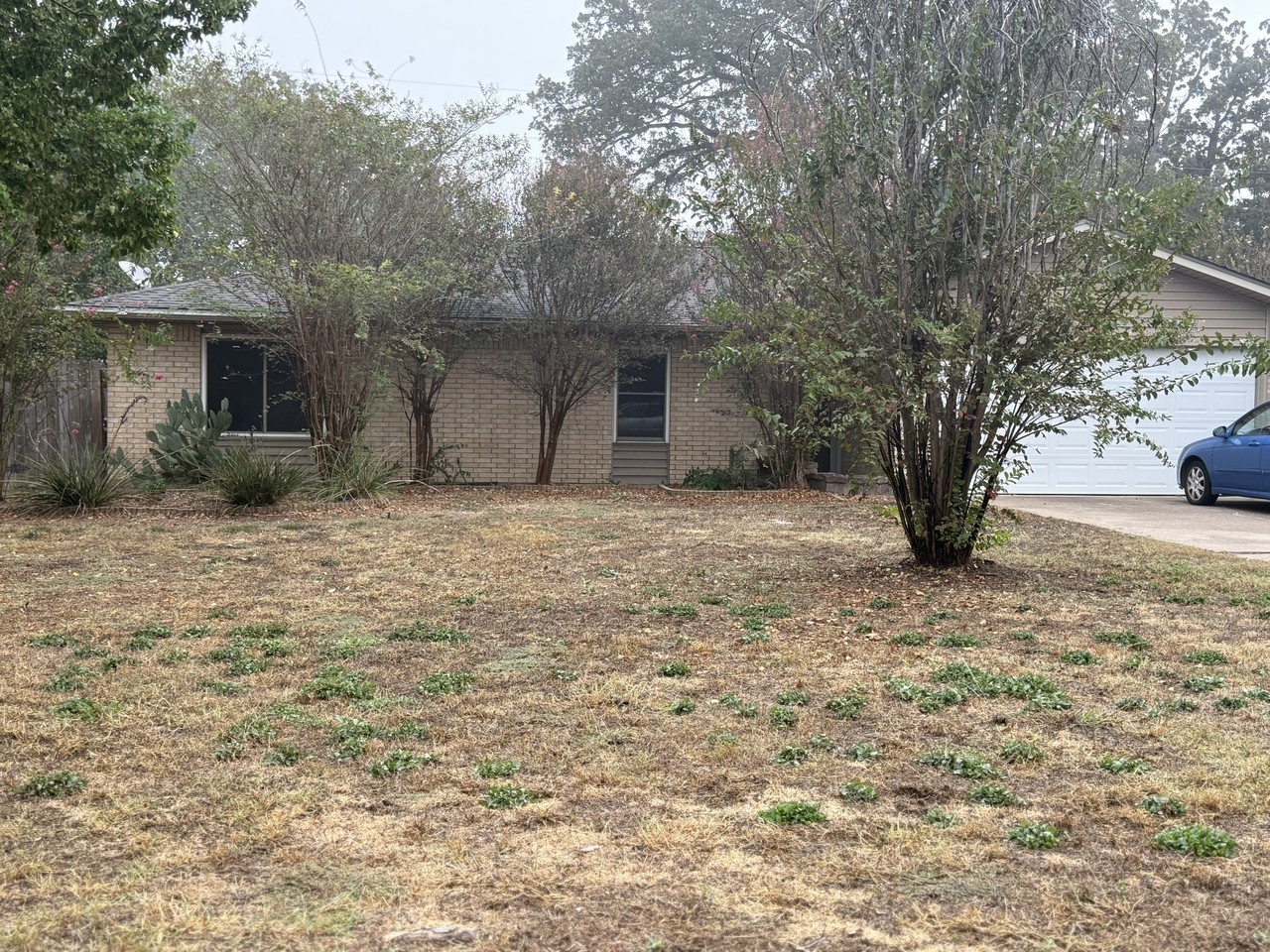 2805 Jennifer Dr #NA - Photo 6 of 17