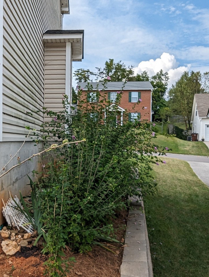 1133 Mortons Meadow Rd #NA - Photo 4 of 42
