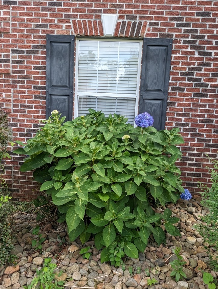 1133 Mortons Meadow Rd #NA - Photo 5 of 42