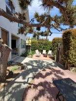 53 Paloma Ave - Photo 1 of 1
