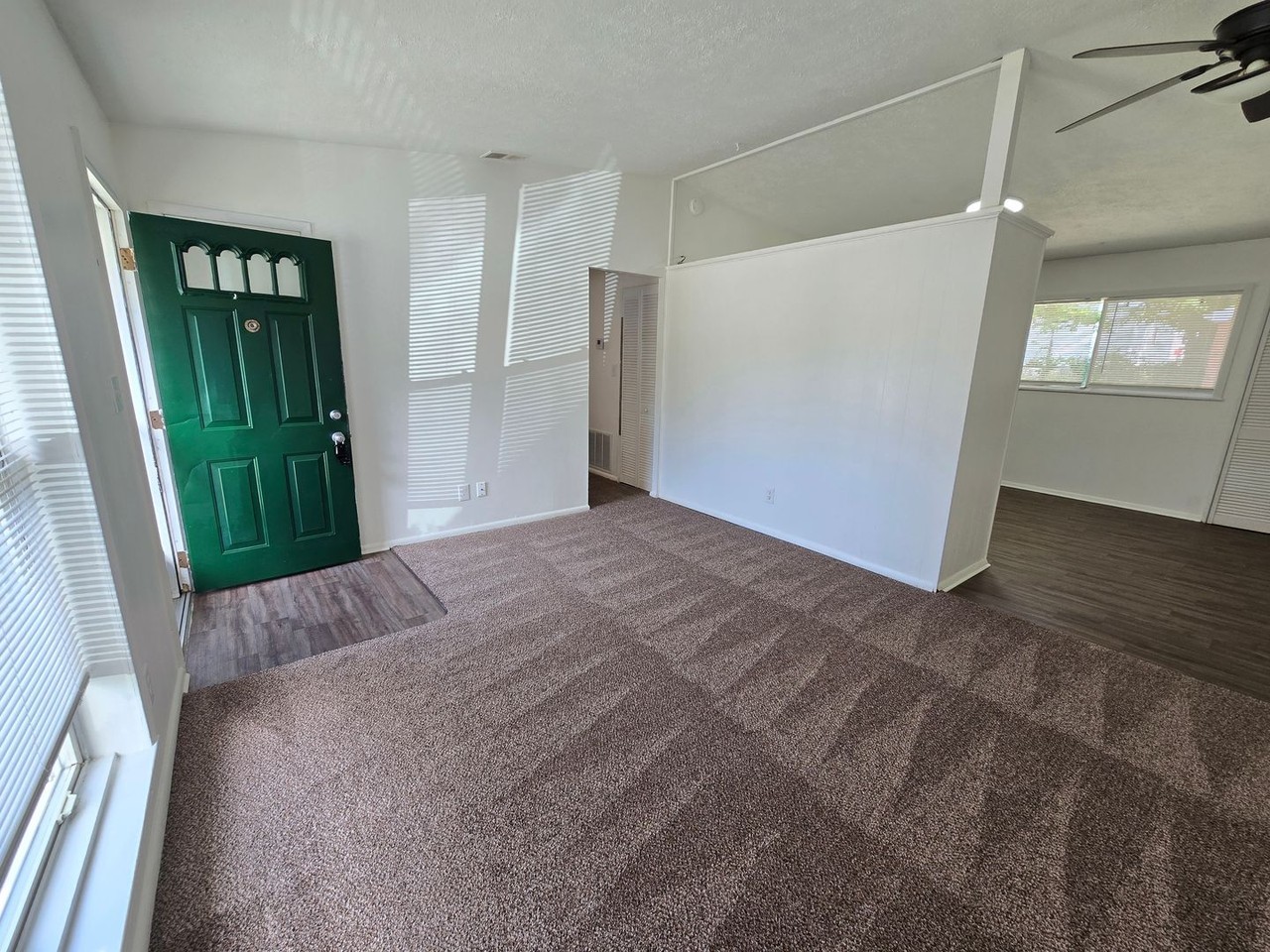 4205 Leo Ln - Photo 7 of 48
