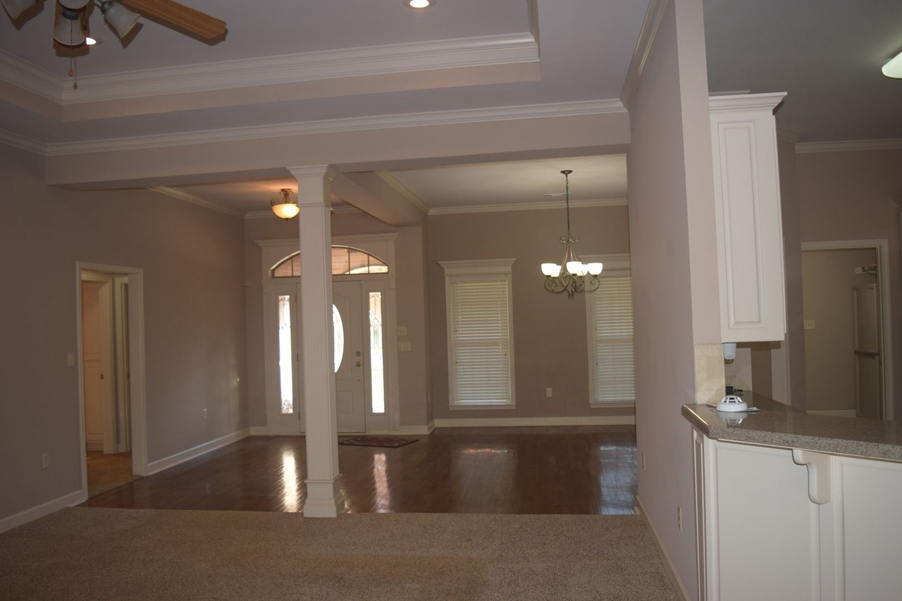 4 Agassi Cv - Photo 5 of 35