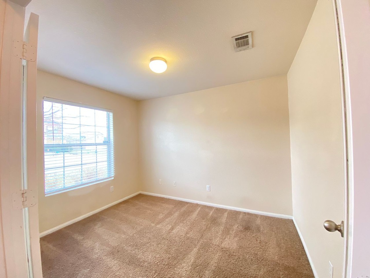 6510 Taree Loop - Photo 3 of 14