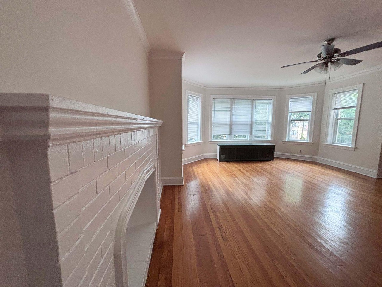 6437 N Leavitt St #2S - Photo 2 of 17