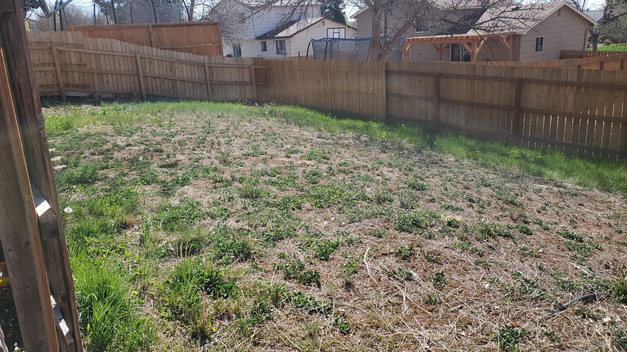 1329 Suncrest Way - Photo 2 of 19