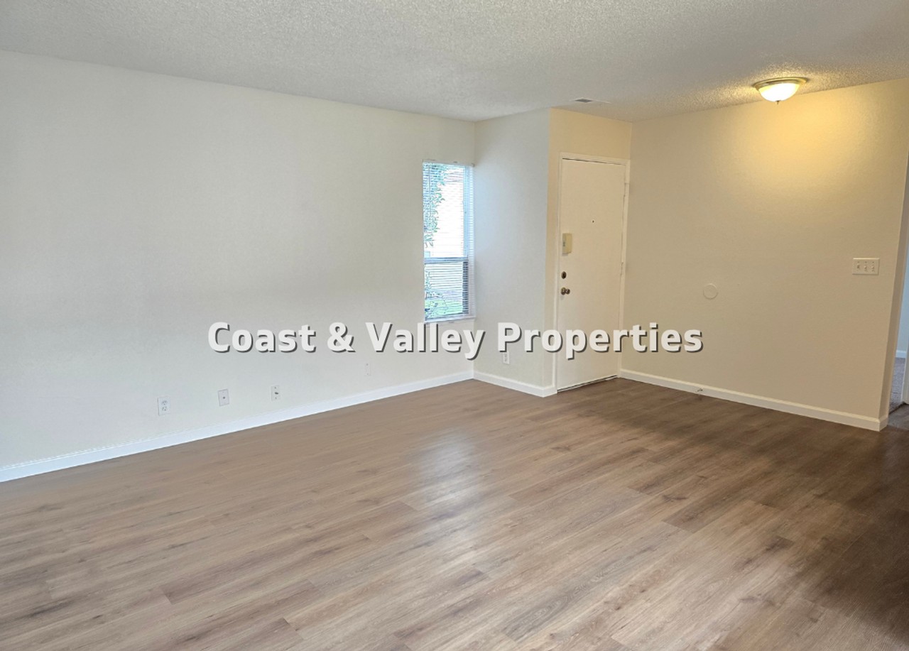 1509 Ebro Cir - Photo 4 of 11