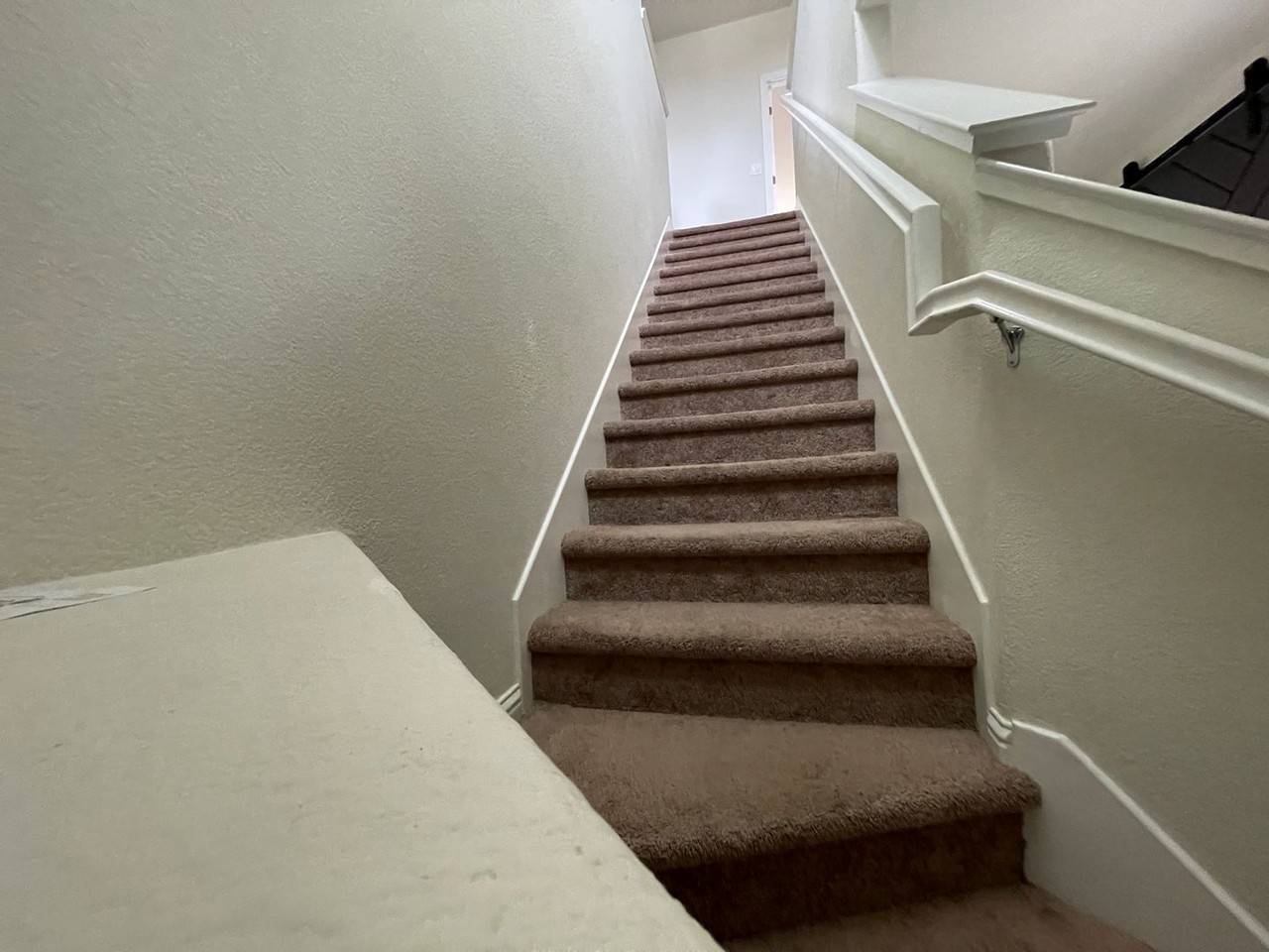 786 Plumeria St - Photo 7 of 19