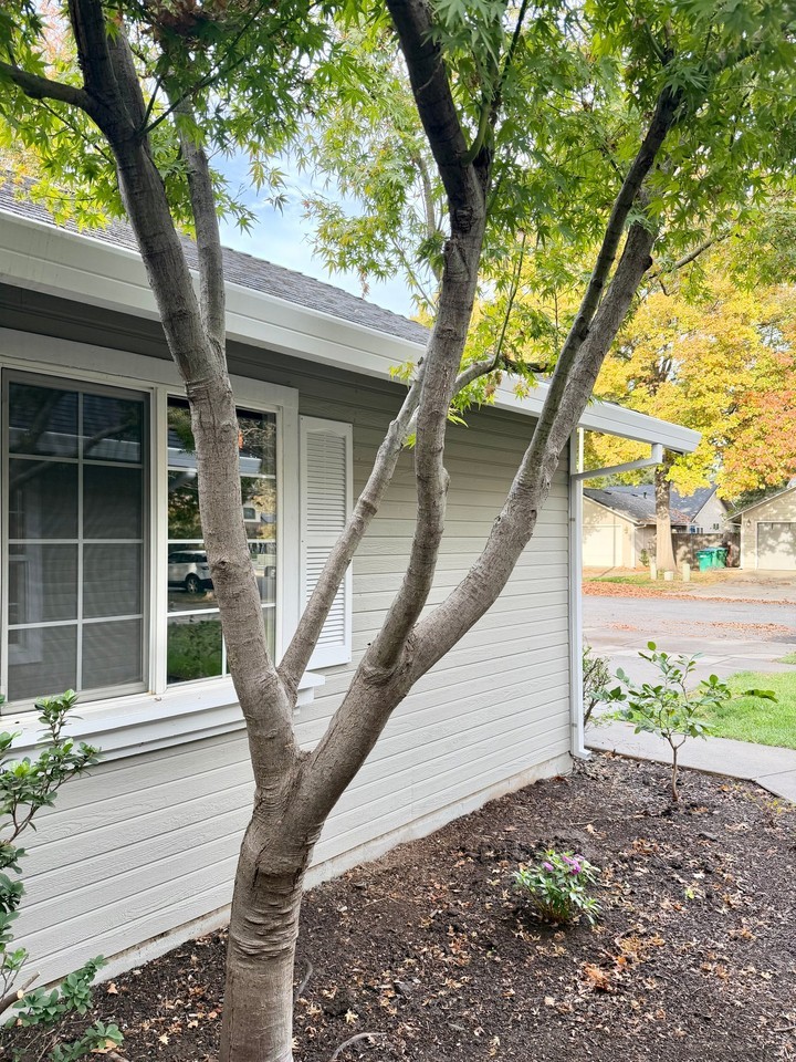 805 Penstemon Way - Photo 2 of 32