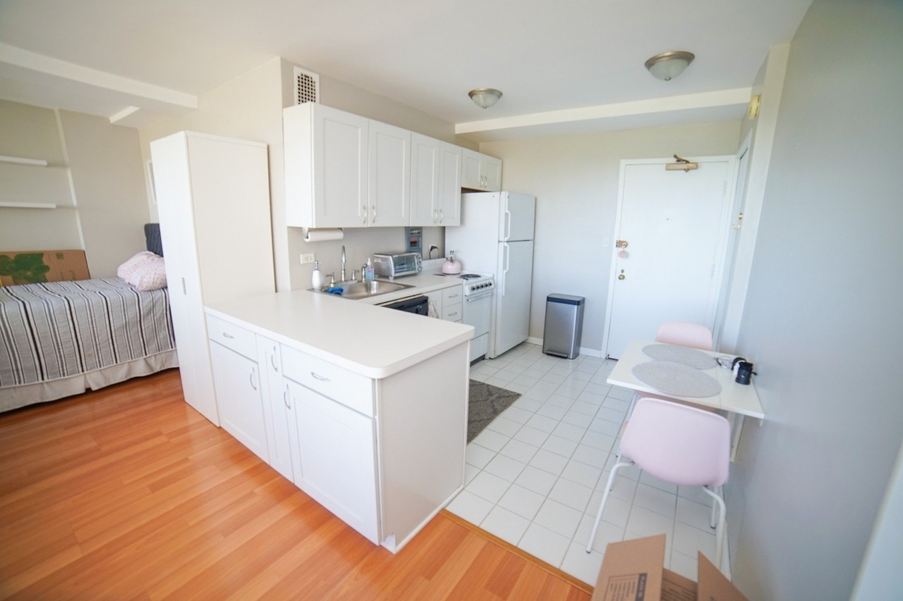 3410 N Lake Shore Dr #12C - Photo 5 of 23