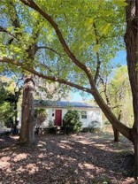 115 Mimosa Dr - Photo 1 of 1
