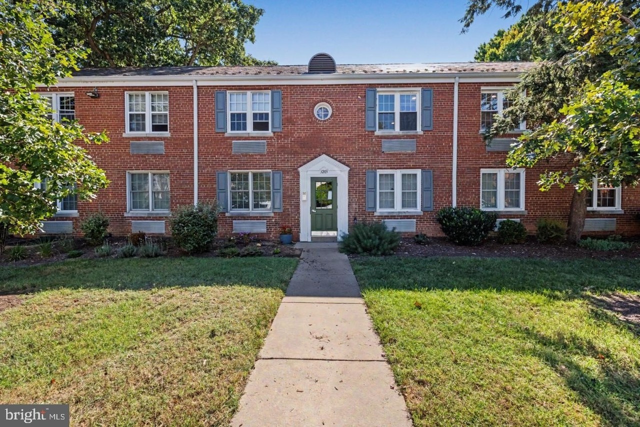 3203 Commonwealth Ave #C - Photo 2 of 39