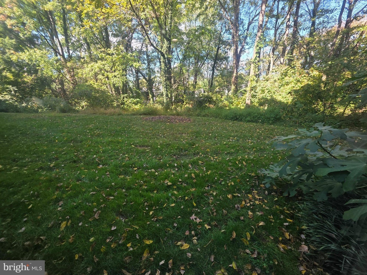 8393 Buttress Ln #101 - Photo 6 of 18