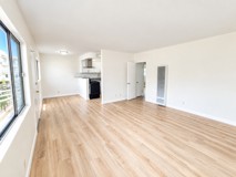 365 Milford St #6 - Photo 1 of 1