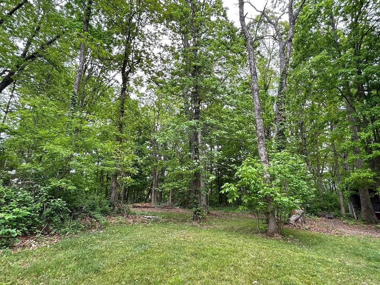 3340 Yellow Sulphur Rd - Photo 6 of 19