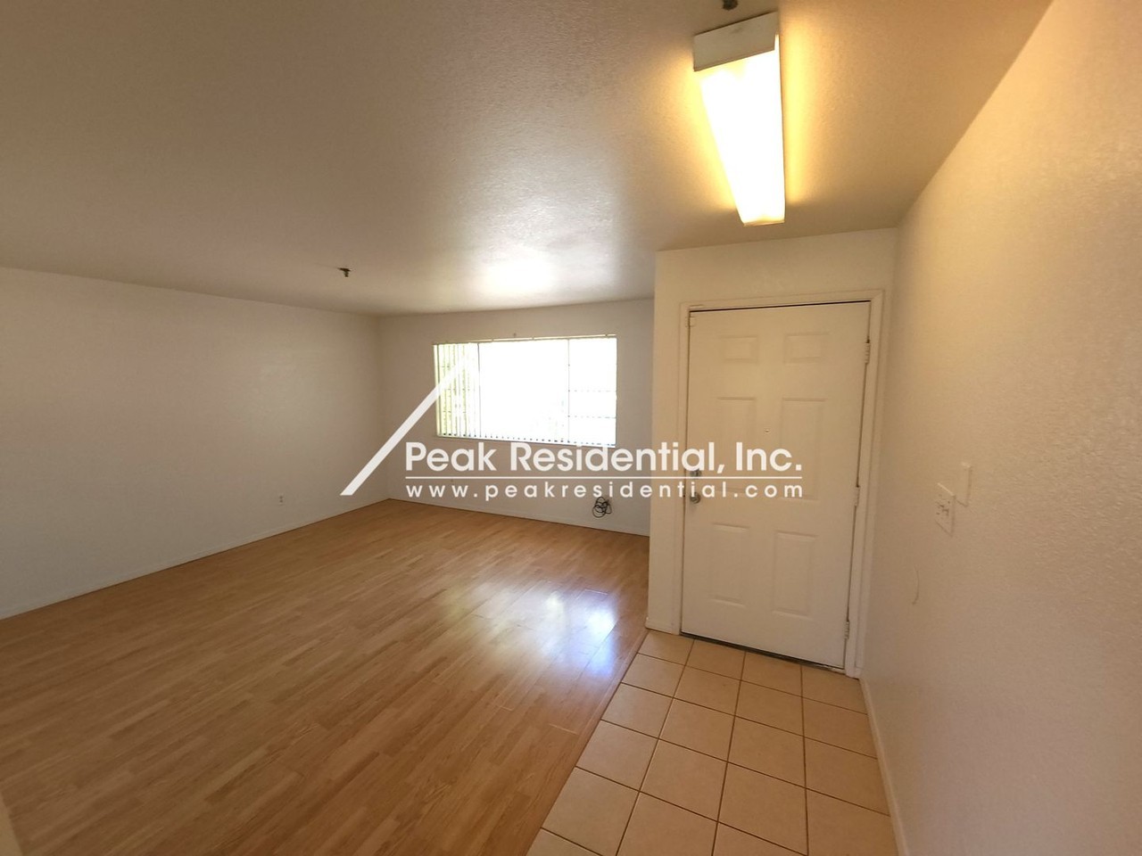 6025 Ehrhardt Ave - Photo 2 of 22