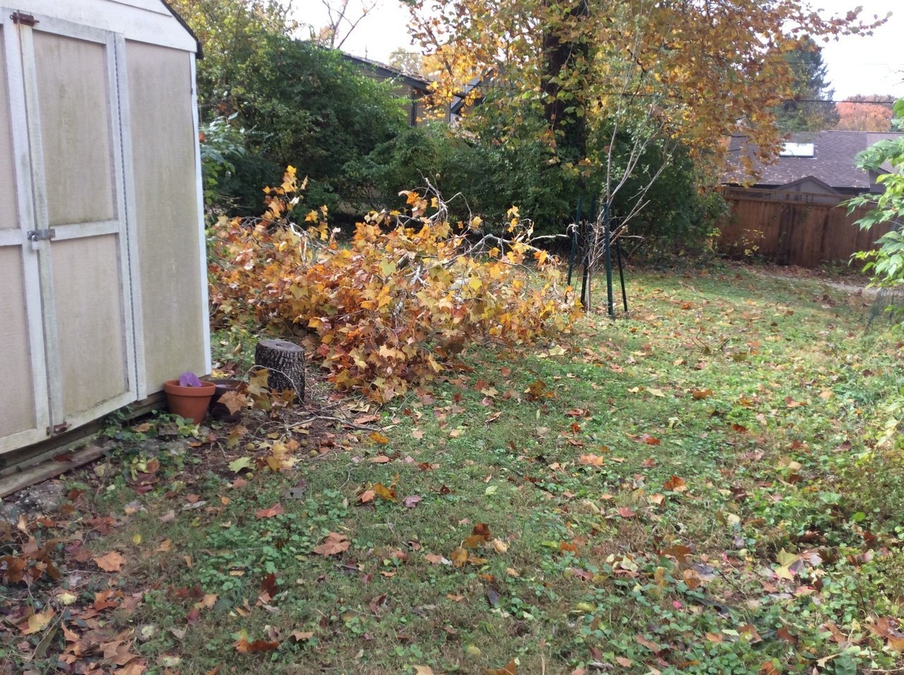 808 S Stull Ave - Photo 6 of 6
