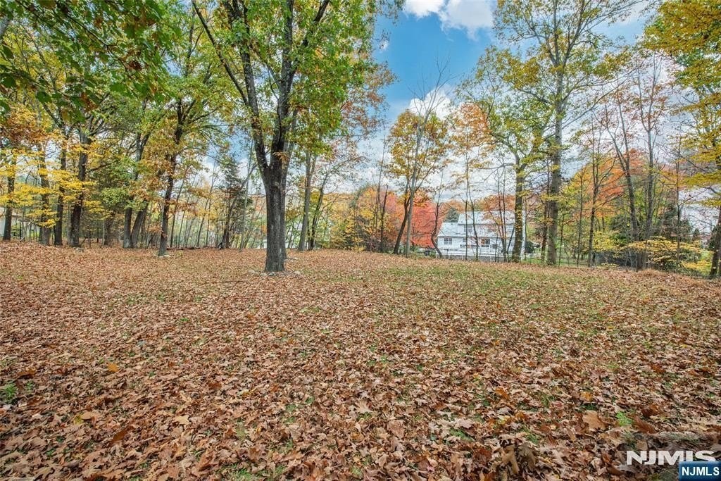 81 Townsend Rd - Photo 5 of 24