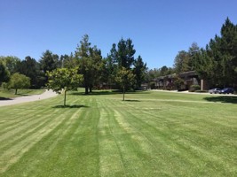 featured image of 23799 Monterey Salinas Hwy ##42