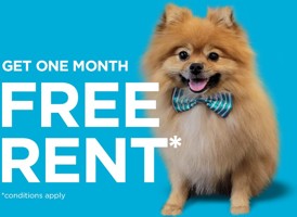 featured image of 1251 Galloway St N