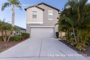 featured image of 9739 Lemon Drop Loop