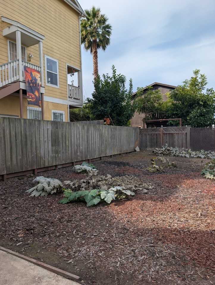 2011 Linden Street - Photo 3 of 22