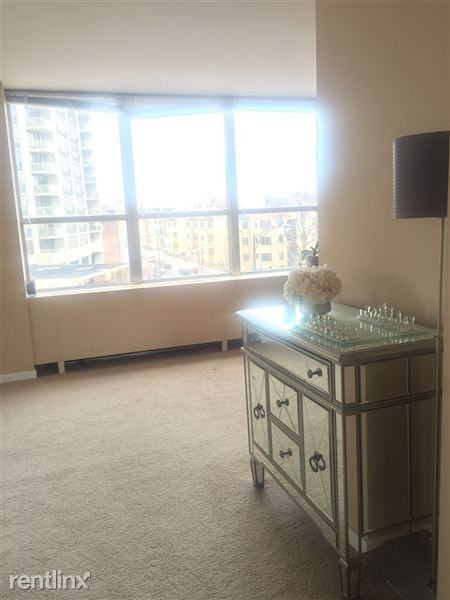 655 W Irving Park Rd #317 - Photo 3 of 16