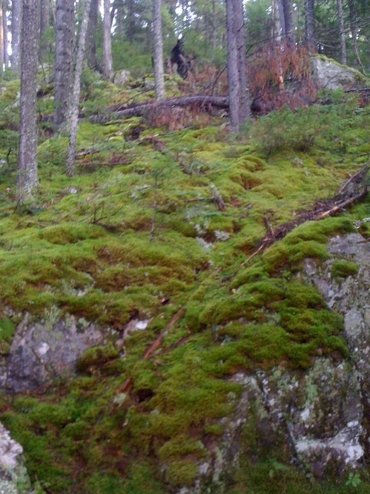 3917 Grand Ave #6f - Photo 3 of 4