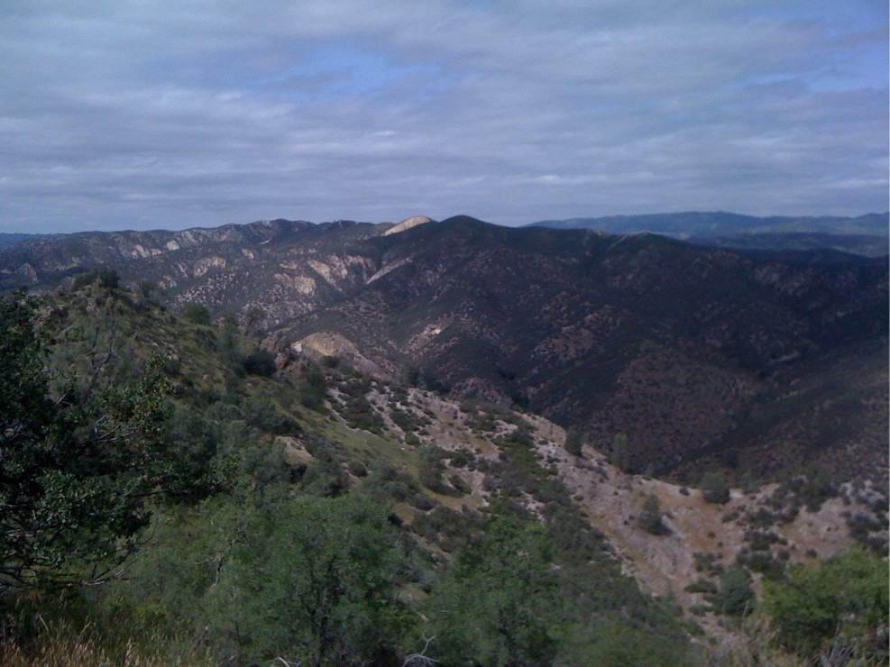 3917 Grand Ave #6f - Photo 2 of 4