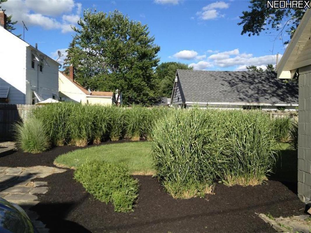 123 Lafayette St - Photo 3 of 19