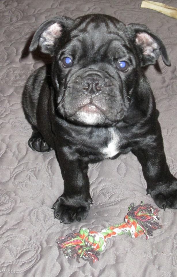 7356 Dalgliesh Drive - Photo 2 of 2